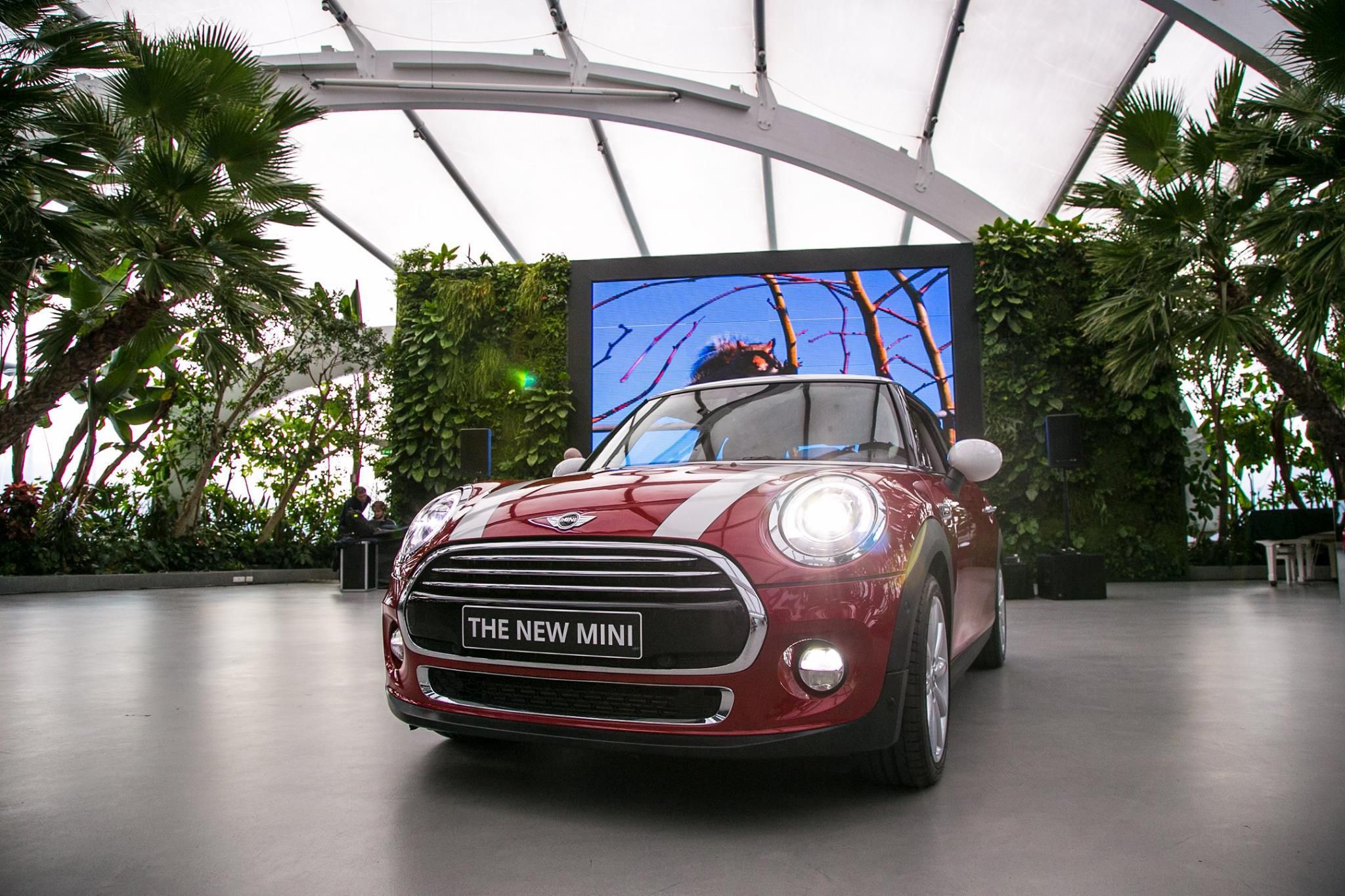 Mini Cooper Verona - Crowne Plaza Hotel Verona Mini Cooper Verona - Crowne Plaza Hotel Verona